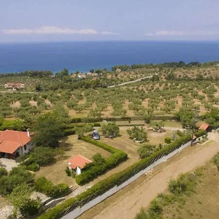 Thea Kalogria (Sithonia)